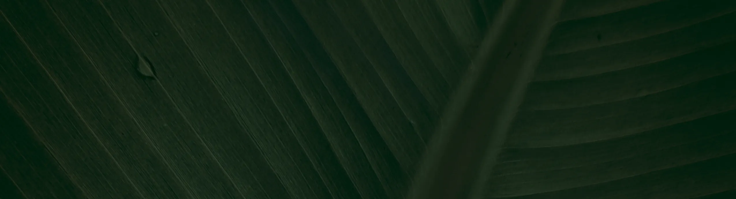 hero-image_optimized AOVE botella 250ml